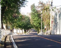 �i��P��̂��΂̍⓹�j