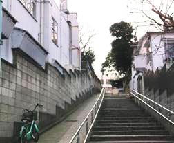 解剖坂