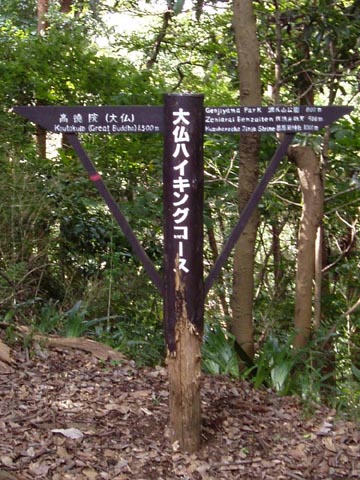 0019_kama.jpg