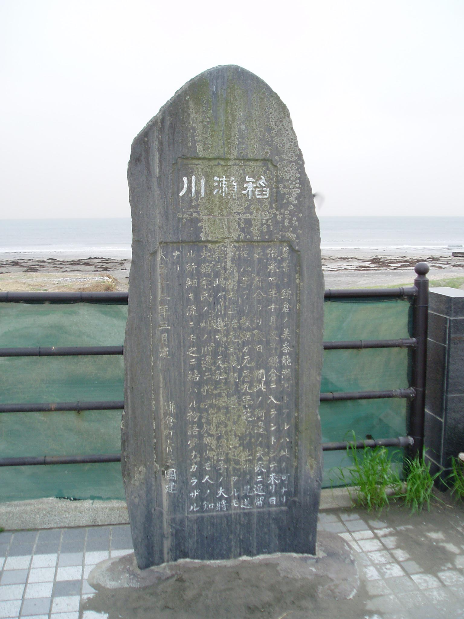 290.jpg