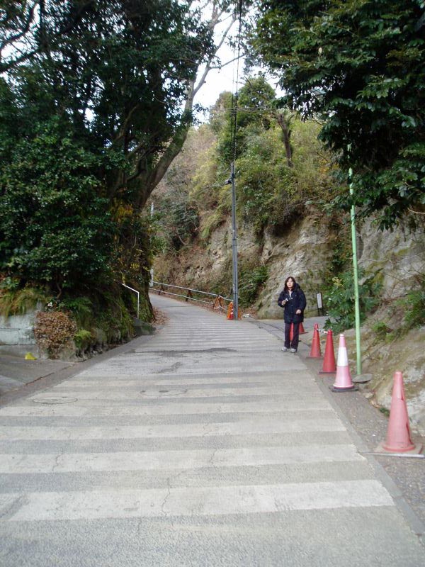 145kamegayatsu.jpg