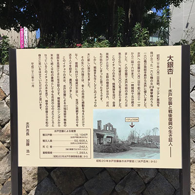 �≺����㑤���ʂ�