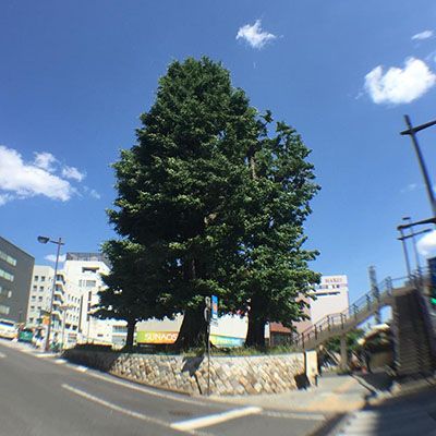 �≺�ɂ���W��