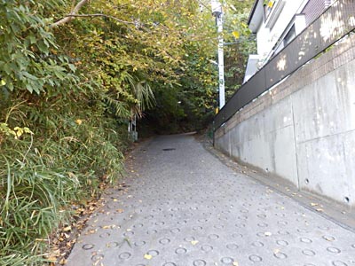 ≺߂BX΂}ɂȂ镔グ