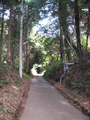 ���̍� �≺���