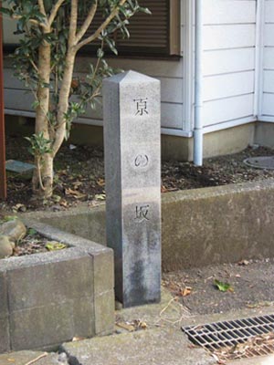 ���̍� �W��