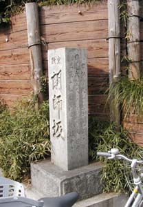 Nt