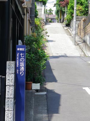 新たに設置された標識 「六の坂通り」（2011）