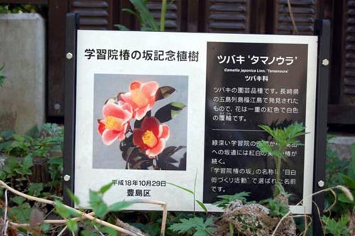 「学習院椿の坂記念植樹」説明板