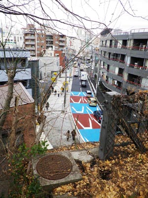 rCRgl̐^ォ{qʂ낷