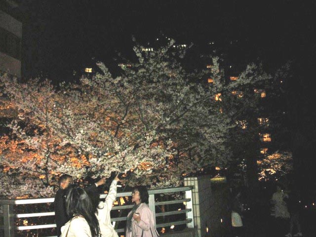 04a.jpg