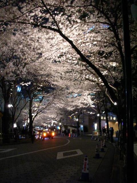 05a.jpg