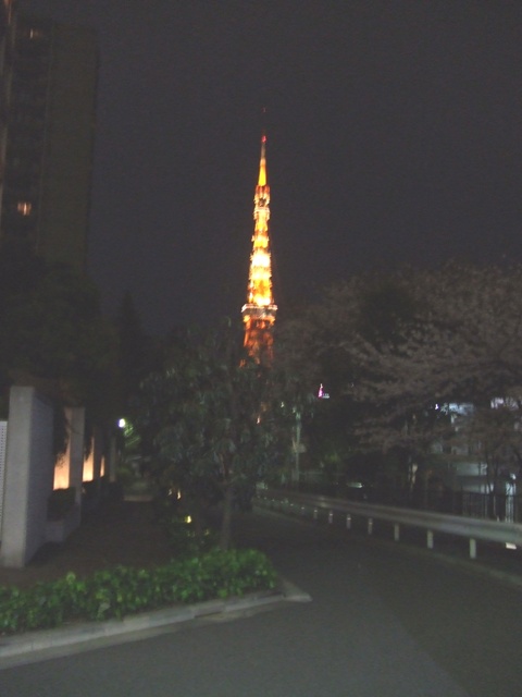 09.jpg